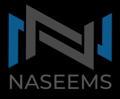 Naseems Accountant